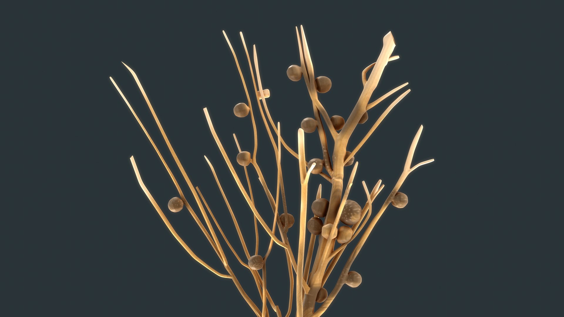 3D Root Nodules Model - TurboSquid 1791657