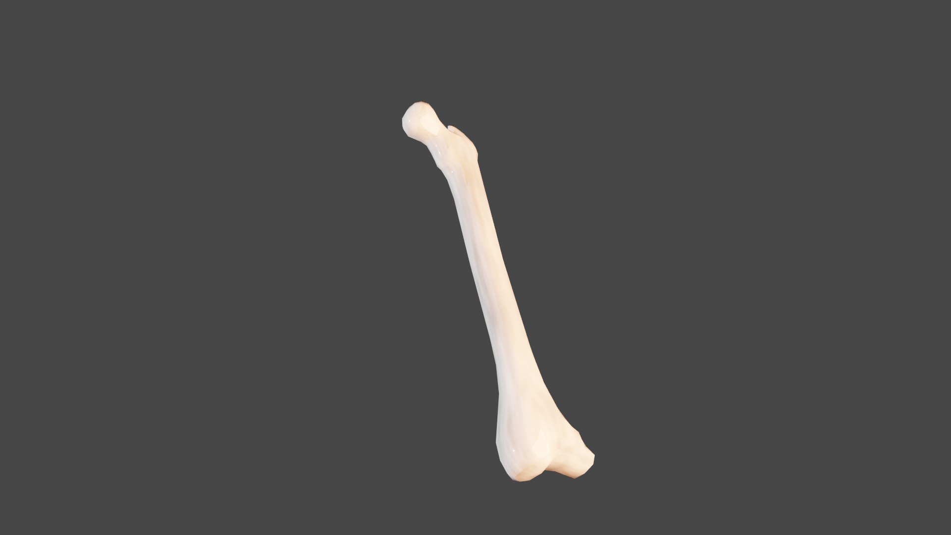 3D Bone for games - TurboSquid 2096417