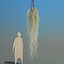 spanish moss 4