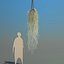 spanish moss 4