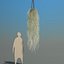 spanish moss 4