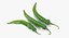 Green Chili Pepper