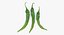 Green Chili Pepper