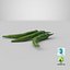 Green Chili Pepper