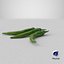 Green Chili Pepper