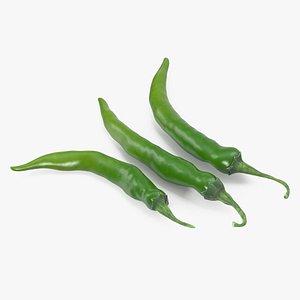 green chili pepper 3D model
