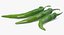Green Chili Pepper