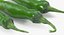 Green Chili Pepper