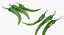 Green Chili Pepper