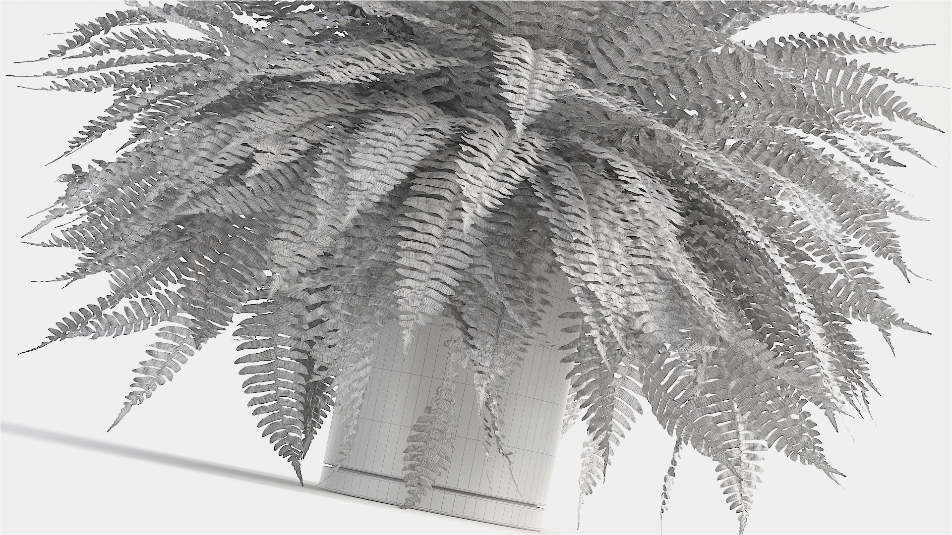3D sword fern https://p.turbosquid.com/ts-thumb/hV/7MIYS1/9SBaklbV/4/jpg/1583241976/1920x1080/fit_q87/1bf4d21a74b5d3e12567f05cf41371fc82c21da6/4.jpg