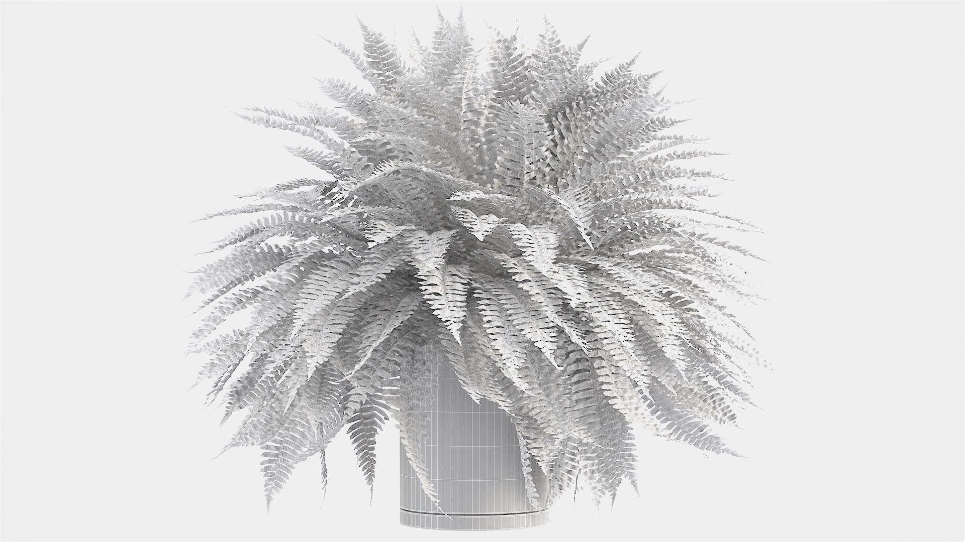 3D sword fern https://p.turbosquid.com/ts-thumb/hV/7MIYS1/VCZVtqS2/12/jpg/1583241977/1920x1080/fit_q87/3e31f6a344c06039269df29ff029d3a28b1473b5/12.jpg