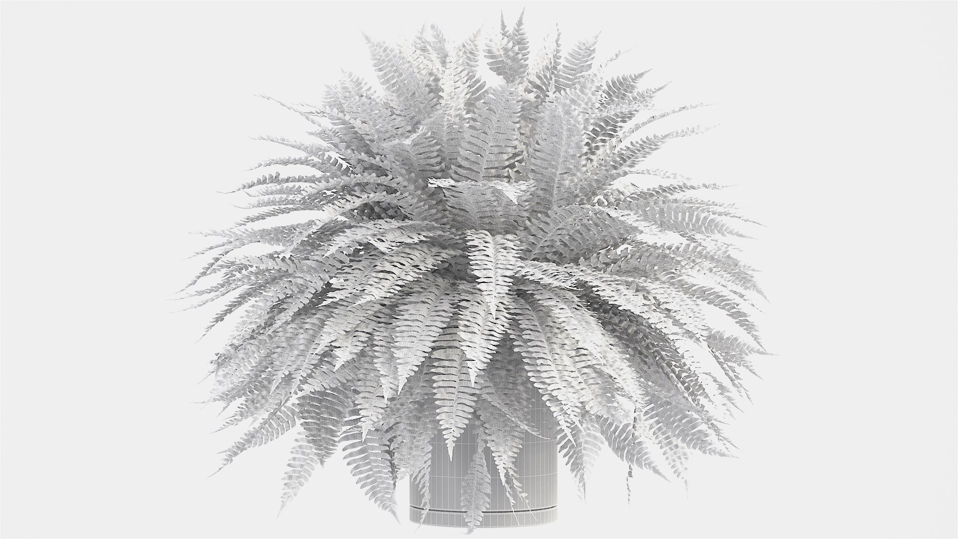 3D sword fern https://p.turbosquid.com/ts-thumb/hV/7MIYS1/rewrHGLv/13/jpg/1583241977/1920x1080/fit_q87/2b189f441d4759de25df94ccdd7584023f9ed4dc/13.jpg