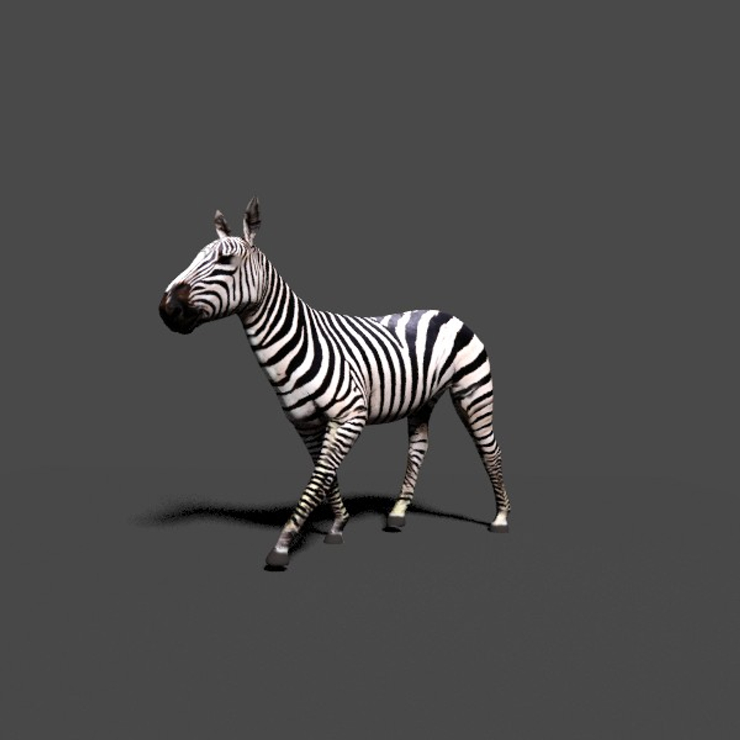 zebra 3d model https://p.turbosquid.com/ts-thumb/hV/AI1eA0/9gztHHuh/zebra/jpg/1447506911/1920x1080/turn_fit_q99/eb7d5d6f926a5c7c46d7dbcc4b0abfca2cec5547/zebra-1.jpg