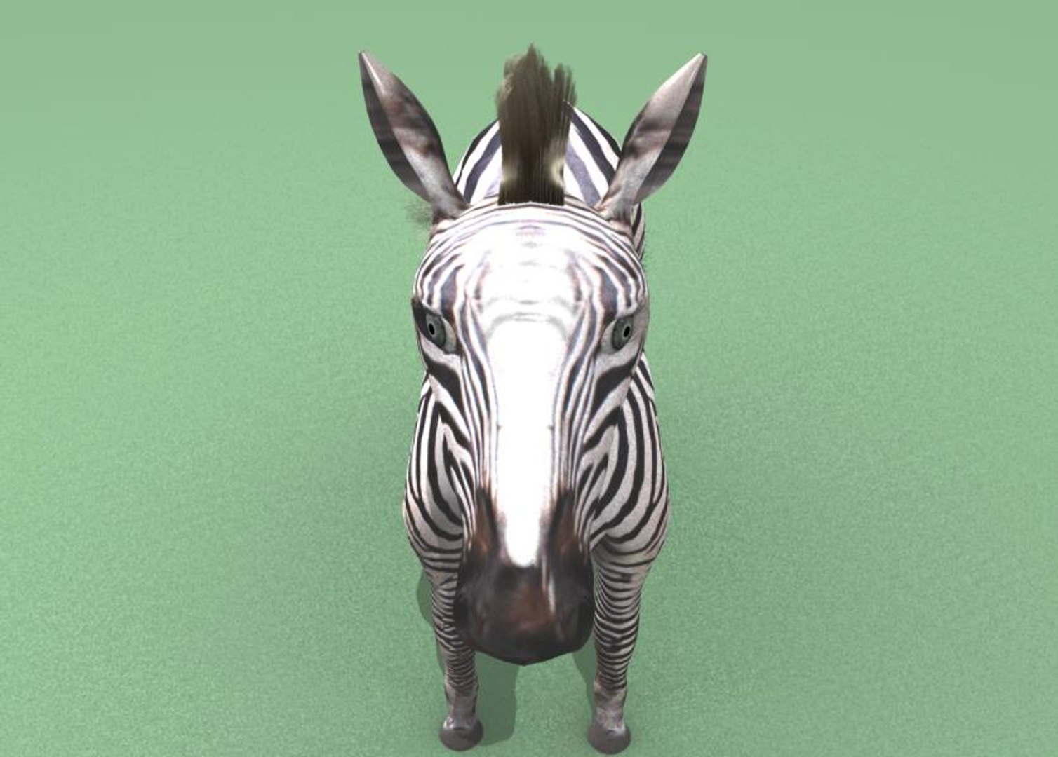 zebra 3d model https://p.turbosquid.com/ts-thumb/hV/AI1eA0/AsnRkLdL/z8/jpg/1434955681/1920x1080/fit_q87/1f81385097721d71c1ec9baf5273b7da68a41942/z8.jpg