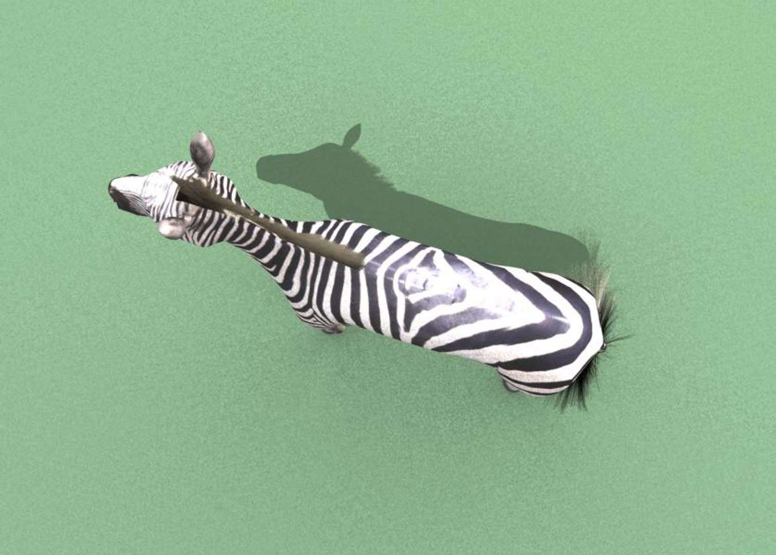 zebra 3d model https://p.turbosquid.com/ts-thumb/hV/AI1eA0/JplxA5fy/z7/jpg/1434955681/1920x1080/fit_q87/05ca95d74d61a8802d2f098d6ab4edea9c2e1da9/z7.jpg