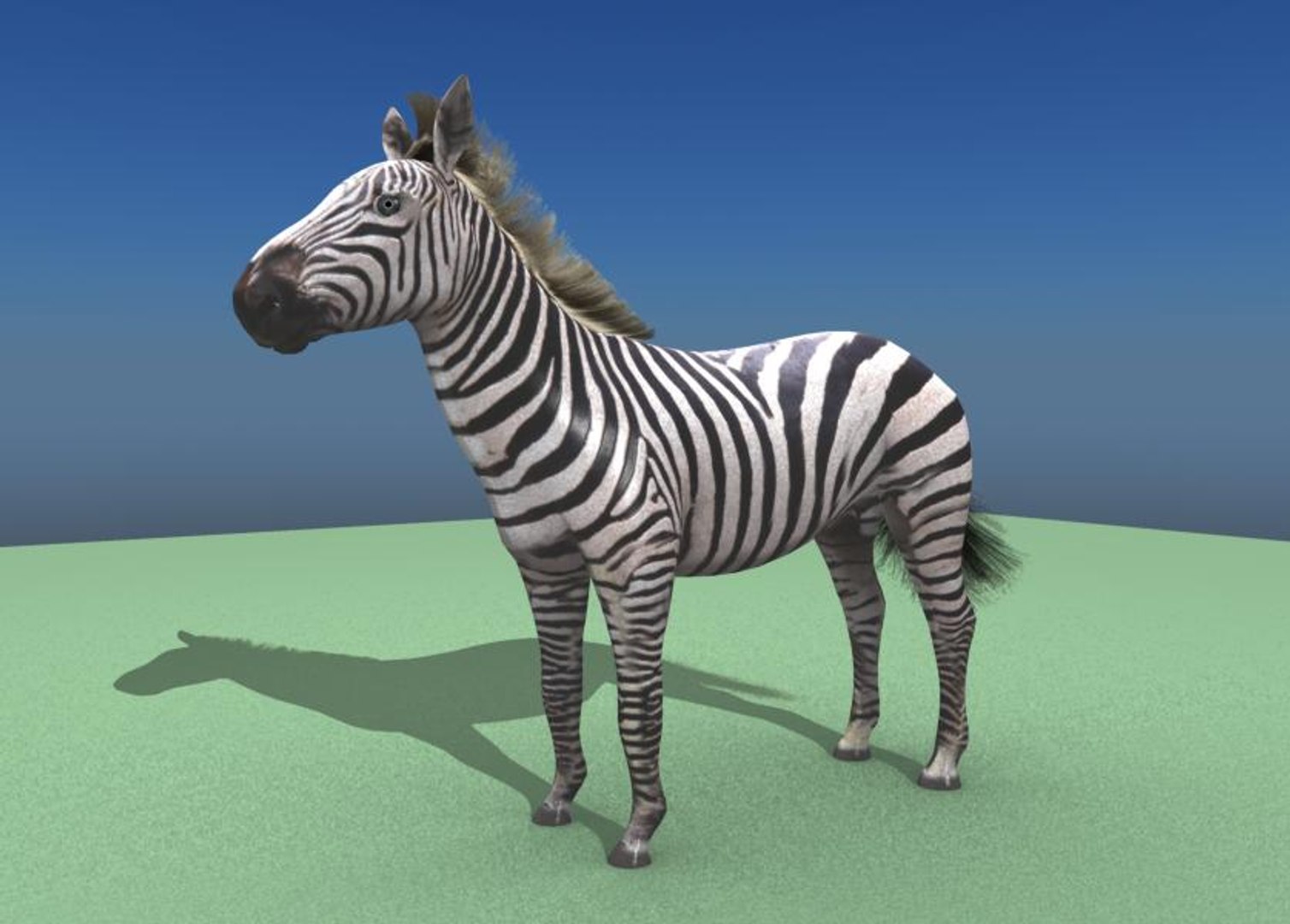 zebra 3d model https://p.turbosquid.com/ts-thumb/hV/AI1eA0/Ytemz5Sh/z5/jpg/1434955681/1920x1080/fit_q87/7cf28f156a30d32b25aff6d162ba877f4d623402/z5.jpg