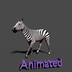 zebra 3d model