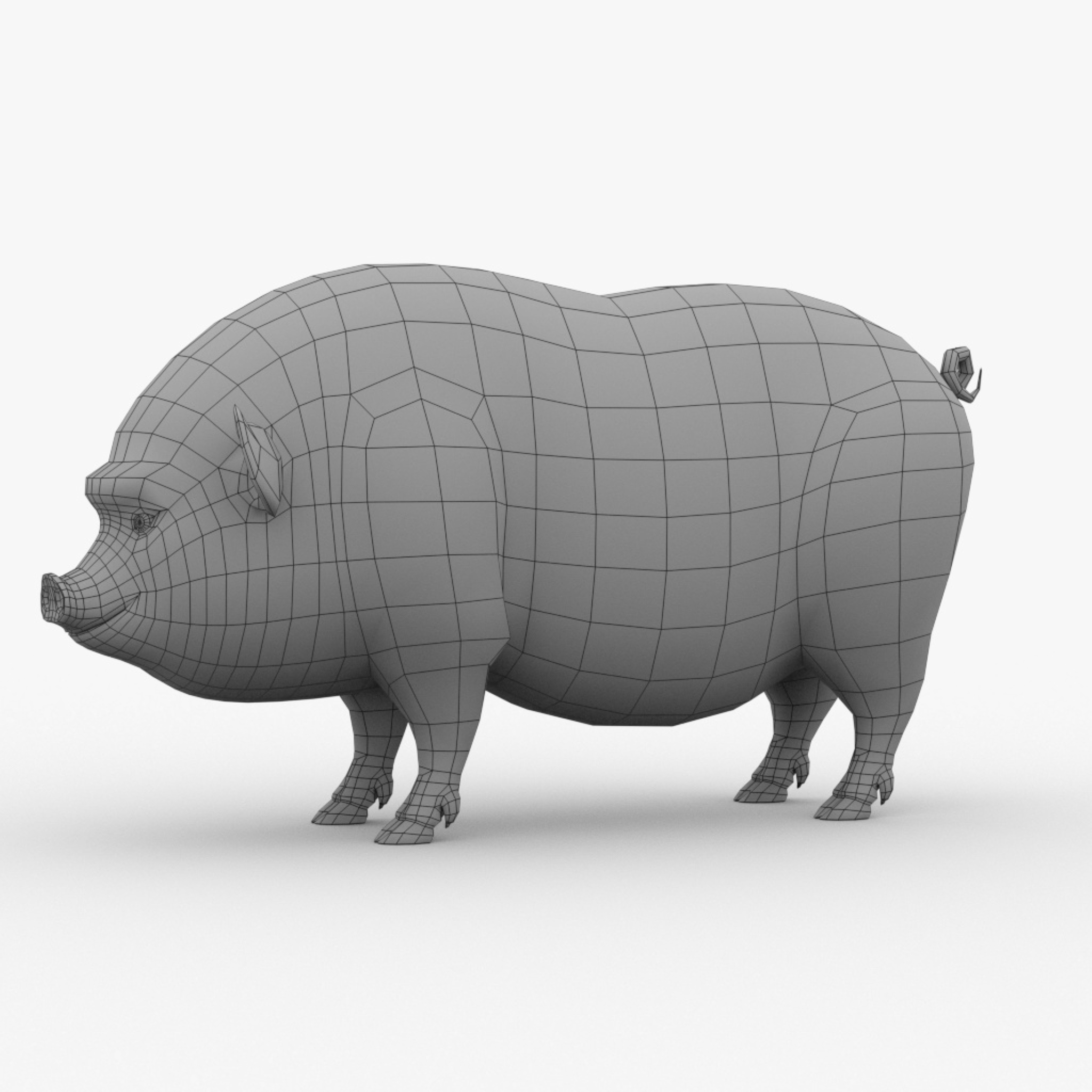 Vietnamese pig basemesh 3D - TurboSquid 2007180