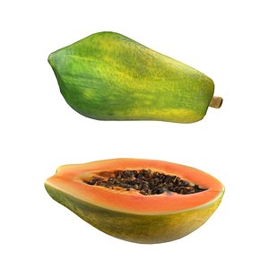 Papaya Fruit Half and full model
