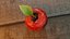 apple red with leaf lowpoly