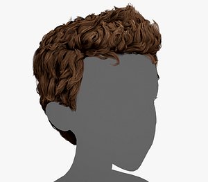 Male Hair Cards Style 5 - Wavy Hair 3D model