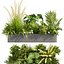 植物 vol 920 - モンステラ - シダ - ヤシ - 低木