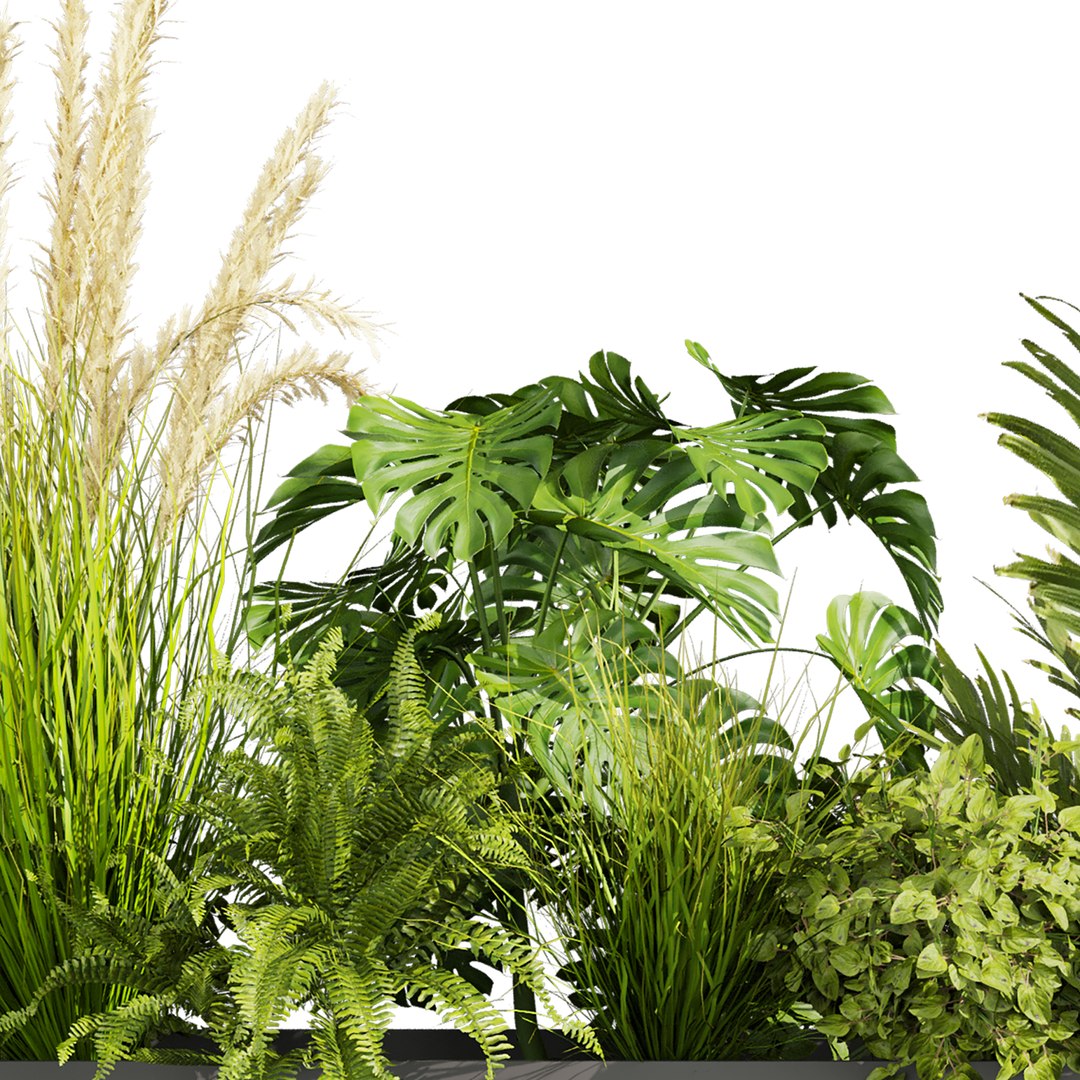 plant vol 920 - monstera - fern - palm - bush 3D model https://p.turbosquid.com/ts-thumb/hV/ac4Myz/UW/5/jpg/1782652828/1920x1080/fit_q87/55faf087586deb3d0efcd467a1c8ce66b31f37d5/5.jpg