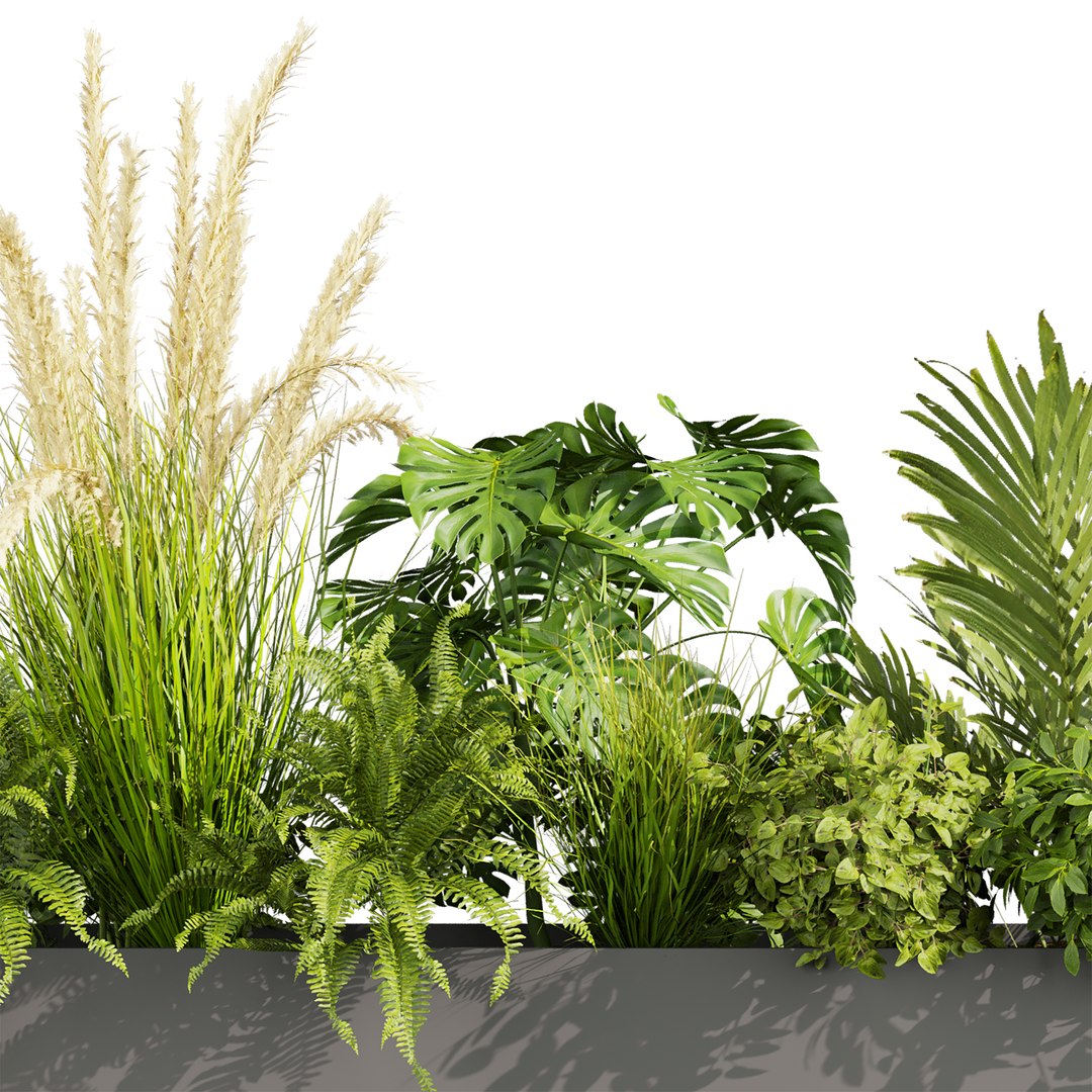 plant vol 920 - monstera - fern - palm - bush 3D model https://p.turbosquid.com/ts-thumb/hV/ac4Myz/Zz/2/jpg/1782652825/1920x1080/fit_q87/61bebac6b6ed1d53416b9bfa371694494dc2c05a/2.jpg