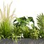 植物 vol 920 - モンステラ - シダ - ヤシ - 低木