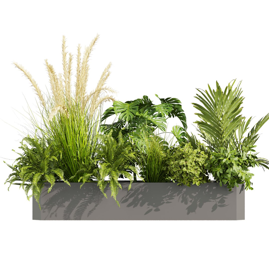 plant vol 920 - monstera - fern - palm - bush 3D model https://p.turbosquid.com/ts-thumb/hV/ac4Myz/m5/3/jpg/1782652824/1920x1080/fit_q87/1bb12b300b2af4663605ded4eeaea69aaeae2793/3.jpg