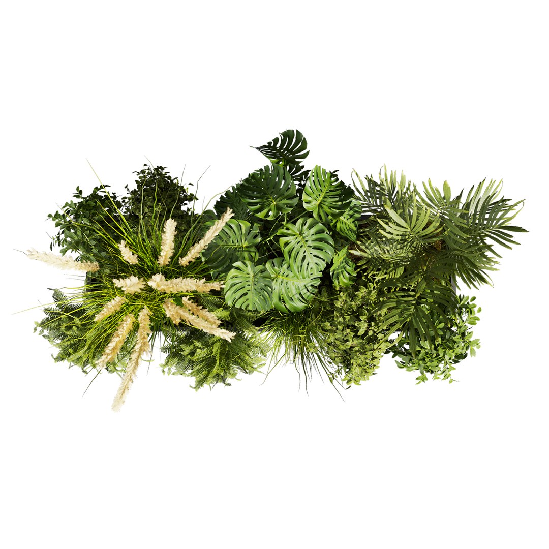 plant vol 920 - monstera - fern - palm - bush 3D model https://p.turbosquid.com/ts-thumb/hV/ac4Myz/uW/4/jpg/1782652826/1920x1080/fit_q87/f7d4aeb9564177fc7cd4b89573bb1a155e8bff5c/4.jpg