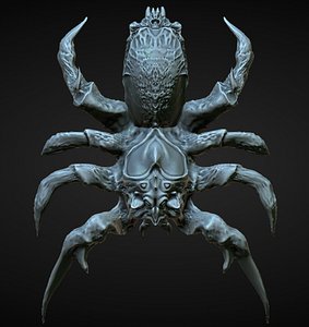 3D spider arachnid invertebrate