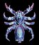 3D spider arachnid invertebrate