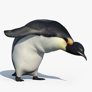 3d model of emperor penguin rigged