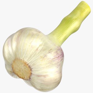 Hardneck Garlic 02
