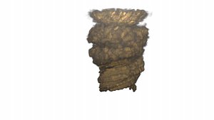 tornado fumefx 3d model