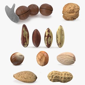 Nuts Collection 10
