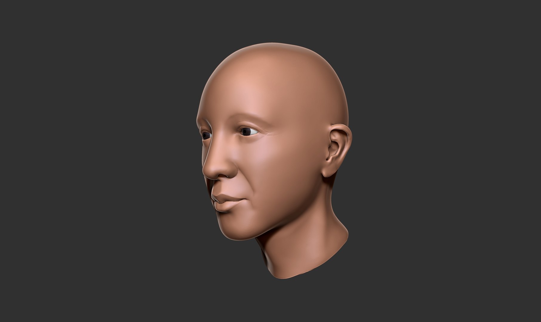 female head basemesh 3D model https://p.turbosquid.com/ts-thumb/hW/Aj6If8/he1154Kt/image04/jpg/1600140261/1920x1080/fit_q87/3543ed5f534c6f3fc4713709b65eba740d2cb475/image04.jpg