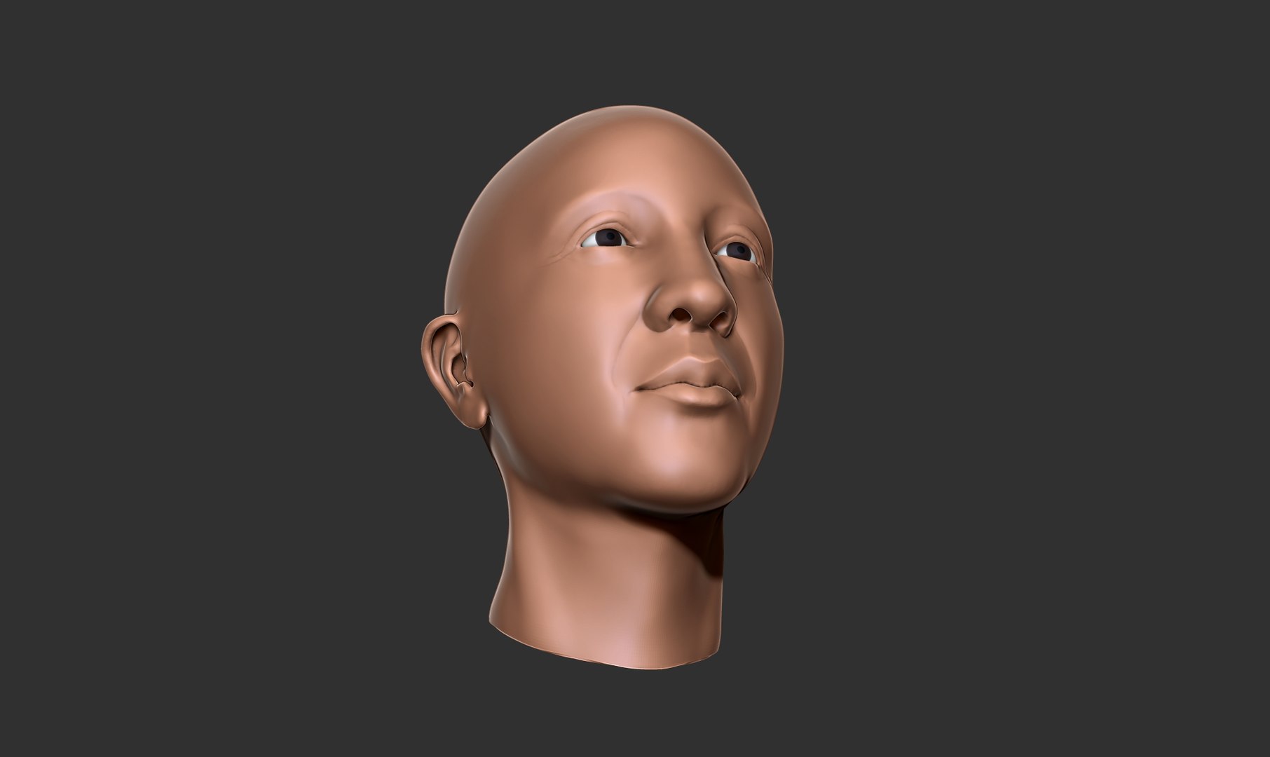 female head basemesh 3D model https://p.turbosquid.com/ts-thumb/hW/Aj6If8/sCSkA7tT/image02/jpg/1600140261/1920x1080/fit_q87/3ad0867625b360b79ecf560360d017a37a8076a3/image02.jpg