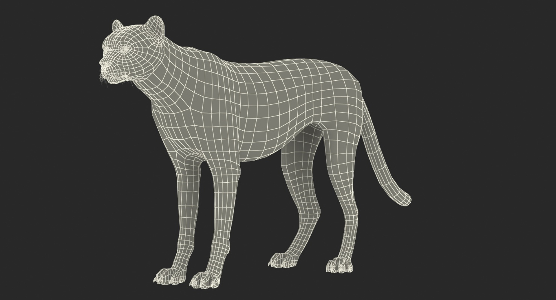 3D cheetah african feline https://p.turbosquid.com/ts-thumb/hW/J369sa/7LZs65KN/cheetah_361/jpg/1554241396/1920x1080/turn_fit_q99/62f7b57bd392518f15834b41d3ef674ad1bc2b32/cheetah_361-1.jpg