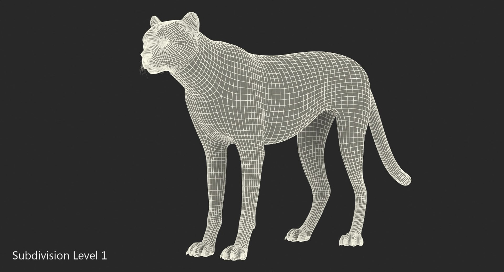 3D cheetah african feline https://p.turbosquid.com/ts-thumb/hW/J369sa/DXnszKIc/cheetah3dsmodel012/jpg/1554241807/1920x1080/fit_q87/f143364afdf2a8e68e4be61e02279ca78e840024/cheetah3dsmodel012.jpg