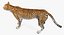 Gepard