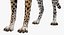 Gepard