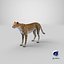 Gepard