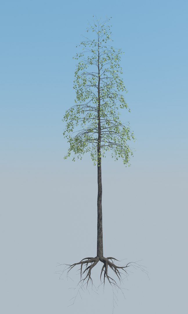 Max Tree Pack