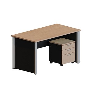 Manager Desk 3D model