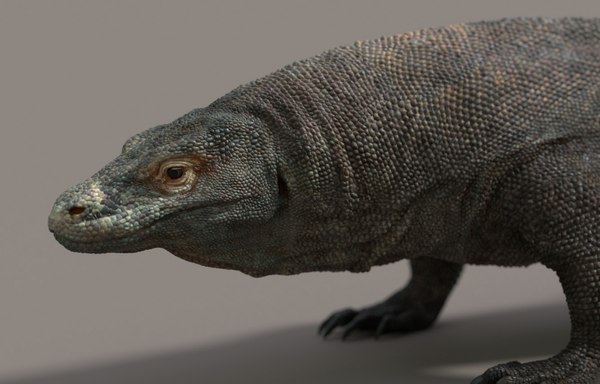 コモドドラゴン3Dモデル - TurboSquid 761318