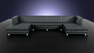 The flat leather sofa