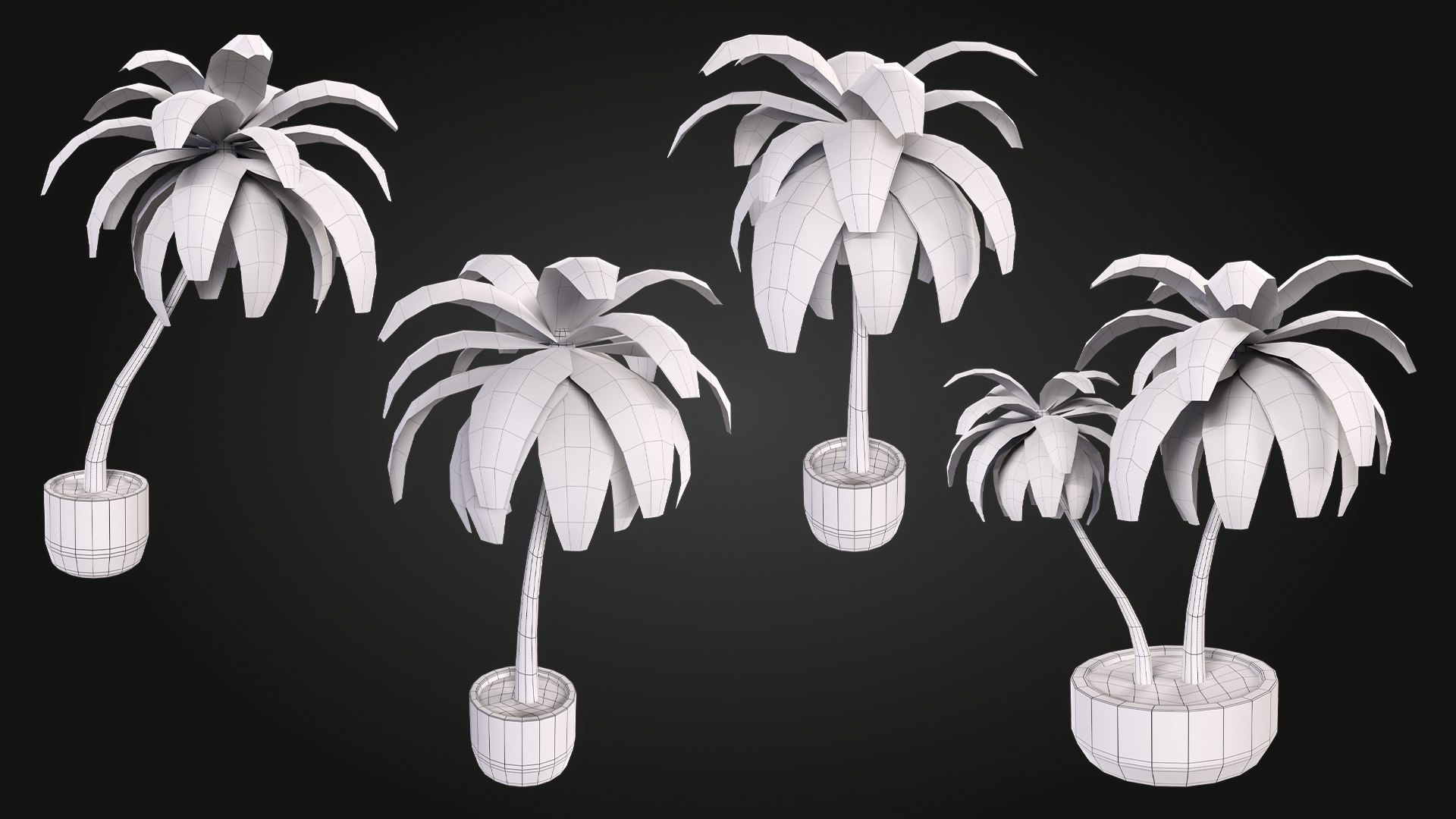 Palm 3D model https://p.turbosquid.com/ts-thumb/hW/aDek2u/5P/img_10/jpg/1748027680/1920x1080/fit_q87/143d5649d0d25a7e5c258fab2b39391b2ba996ff/img_10.jpg