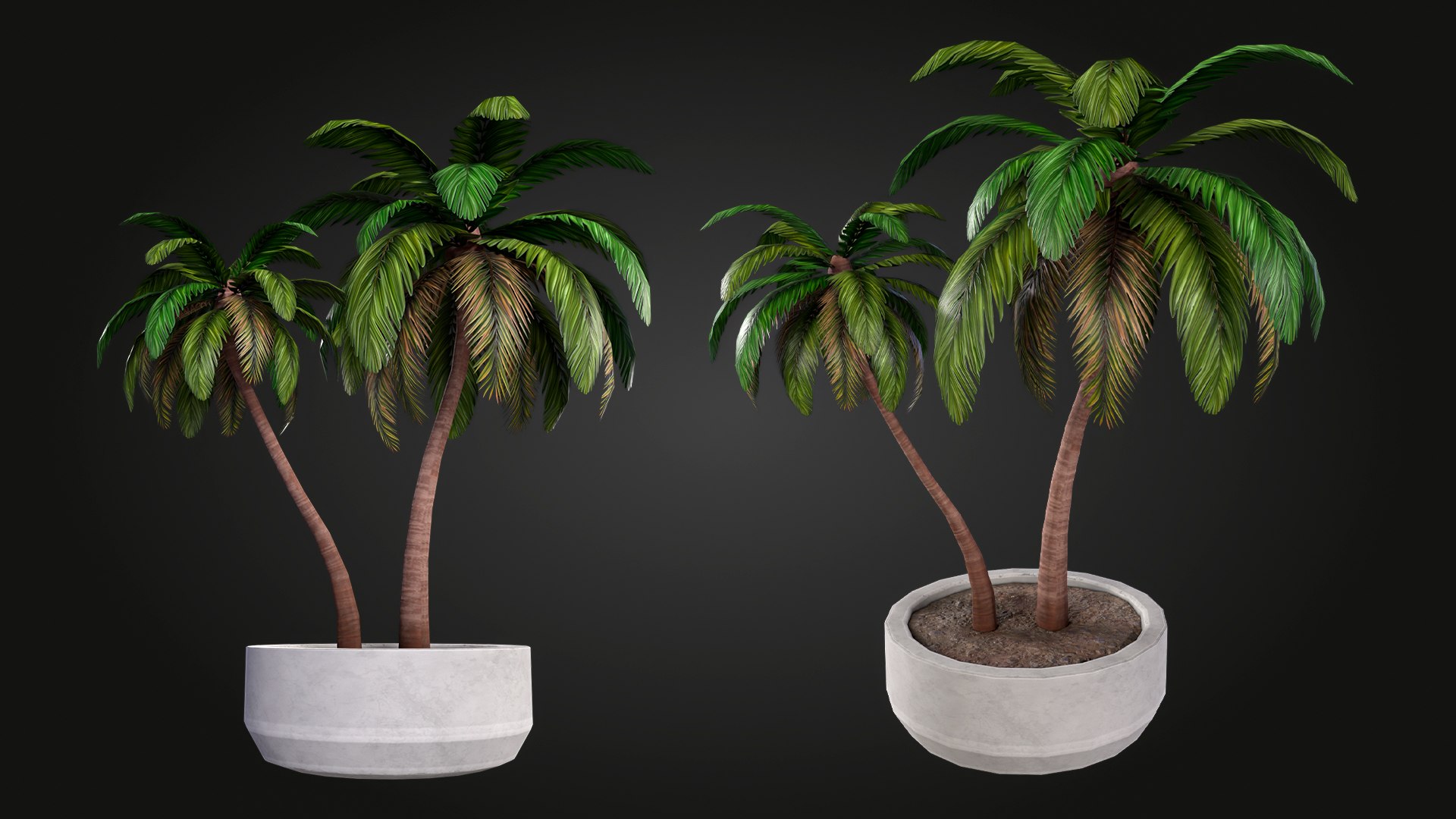 Palm 3D model https://p.turbosquid.com/ts-thumb/hW/aDek2u/T0/img_6/jpg/1748027676/1920x1080/fit_q87/d3017e8c70a623db0243ce3073aff3b0b0e70460/img_6.jpg